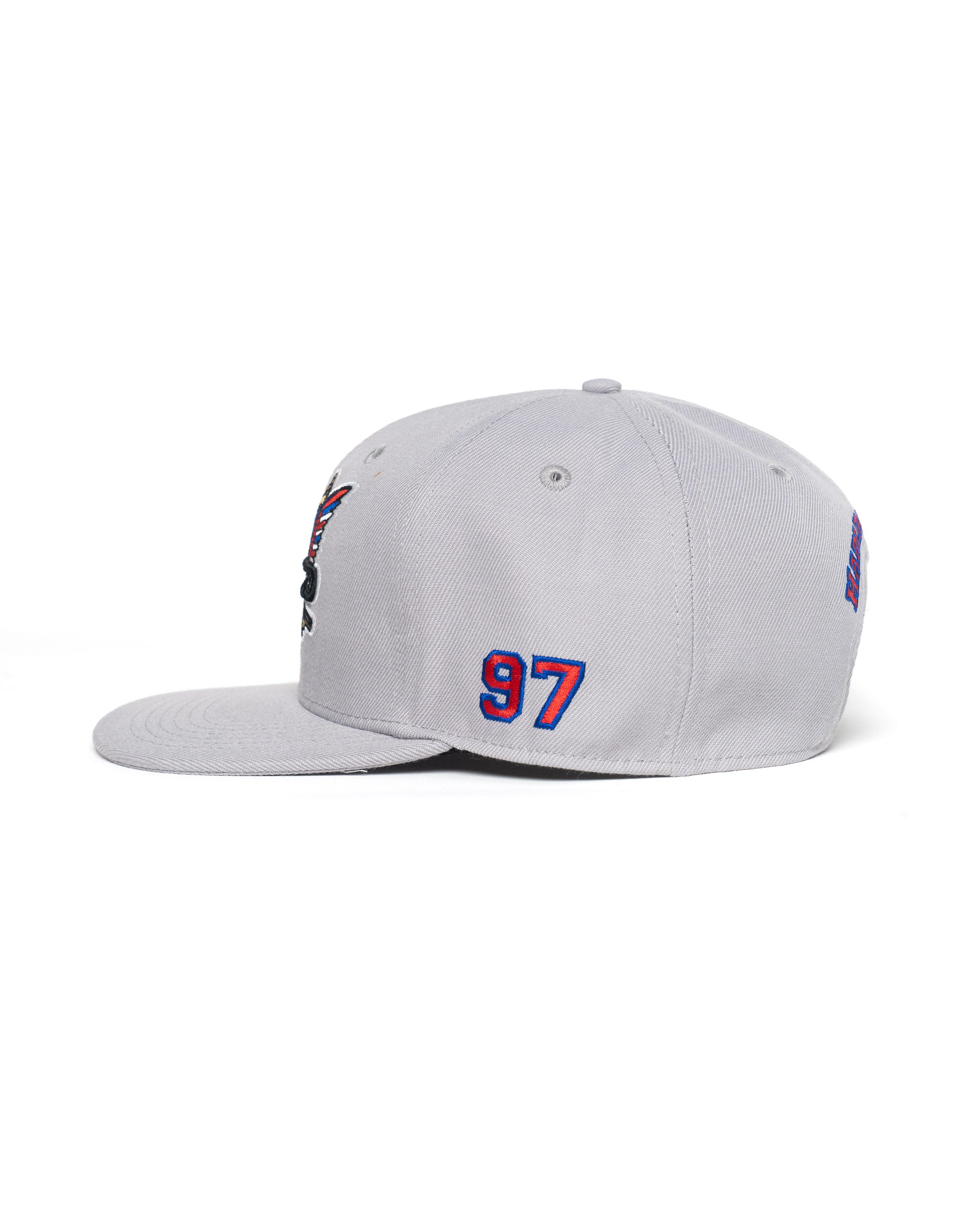 Classic Dipset Snapback Gray